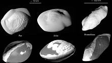Ученые попытались объяснить форму спутников Сатурна