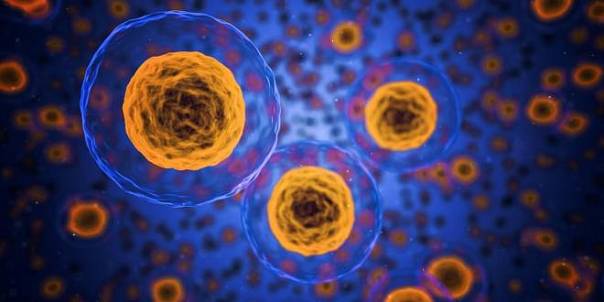 Новые сведения о работе раковых клеток, которые помогут в будущем изобрести лекарство от рака