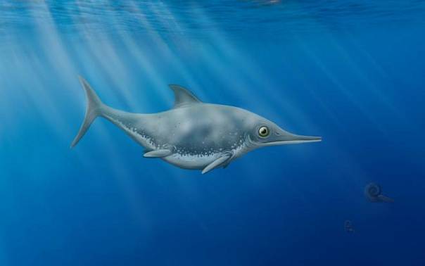 Доисторический «морской дракон», найденный на побережье Великобритании, оказался неизвестным ранее видом