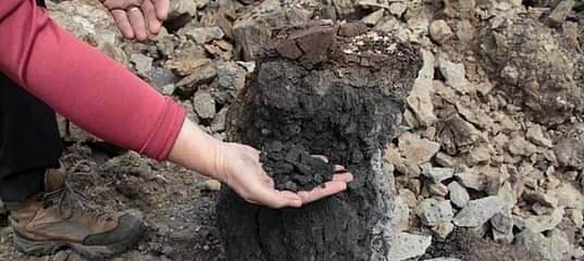 Сжигание угля в Сибири привело к изменению климата 250 миллионов лет назад