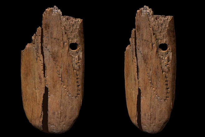 Обнаружено самое древнее украшение, сделанное Homo sapiens