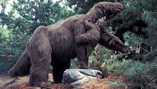 Слой с окаменелостями вскрыл массовую гибель гигантских ленивцев 