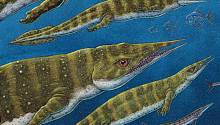 Рептилия с узкой пастью была одной из последних в своем роде