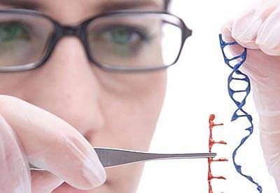 Генетика и геном человека