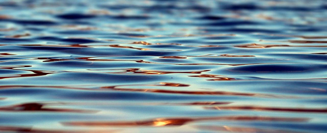 Ученые прогнозируют увеличение «мертвых зон» в озерах и океанах