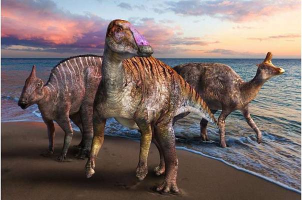 В Японии найдены останки нового вида утконосого динозавра