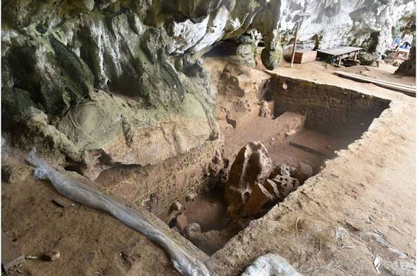 Обнаружена челюстная кость доисторического жителя Индонезии