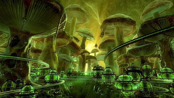 Европейские исследователи предложили строить грибные дома на Земле 