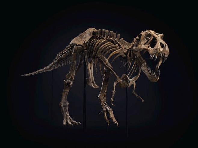 «Кристис» дает возможность купить скелет Тираннозавра рекса 