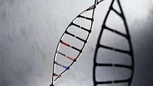 Ученые близки к выявлению всего человеческого генома