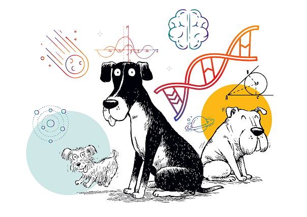 Пес-ученый: вклад собак в науку 