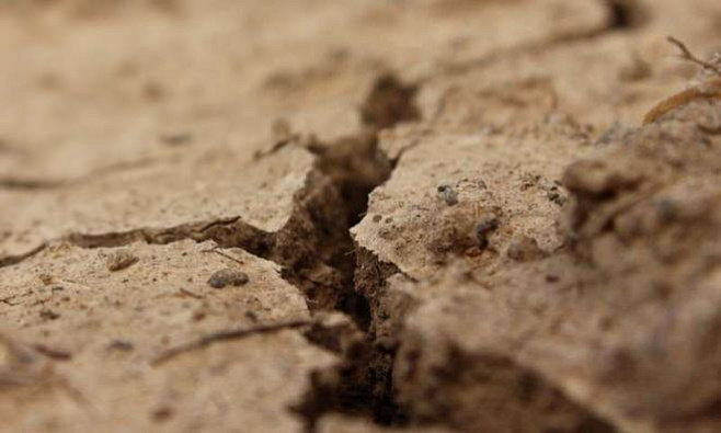 Генетически модифицированные микробы в почве могут предотвратить опустынивание местности
