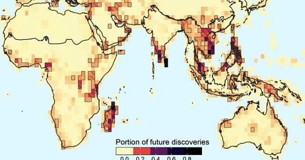 Йельские учёные создали карту ещё не открытых живых существ