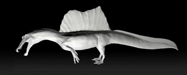 Ученые нашли доказательства того, что динозавры умели плавать