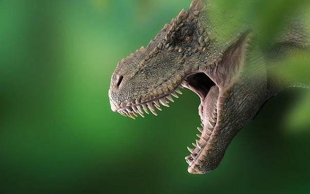Ученые считают, что существовало три вида тираннозавров 