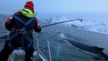 360-градусная камера позволила пронаблюдать за отдыхом горбатых китов