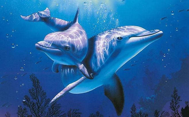 Как дельфины и киты ушли в море?