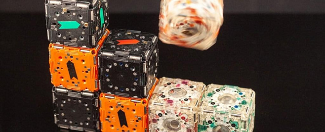 Роящиеся роботы-кубики, которые сами пересобираются