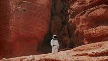 Независимая планета: Илон Маск отказался признавать земные законы в будущей колонии на Марсе
