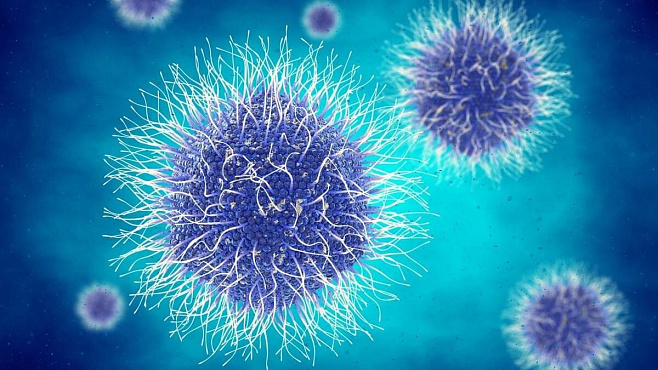 Гигантские вирусы могут помочь с лечением пневмонии