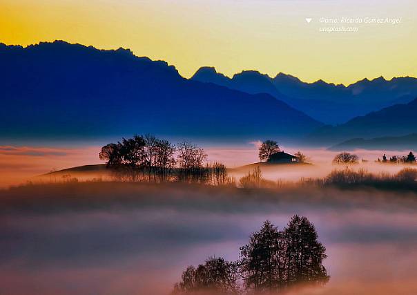 Конкурс в области экопросвещения и фотографии «Рассвет»