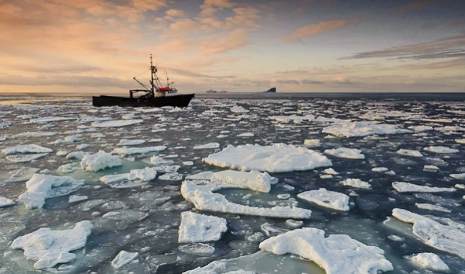 Льды Берингова моря стремительно тают в последние два года