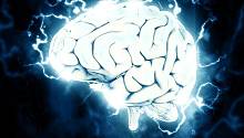  Магнитная стимуляция не воздействует на рабочую память при когнитивной работе мозга