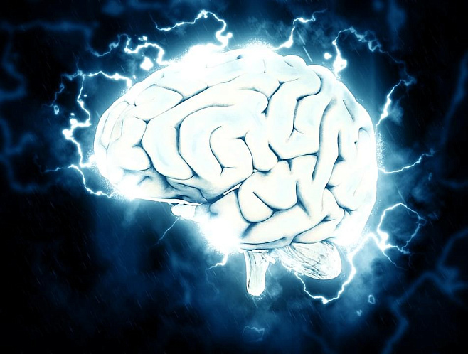  Магнитная стимуляция не воздействует на рабочую память при когнитивной работе мозга