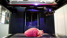 Человечество стремится напечатать на 3D-принтерах внутренние органы