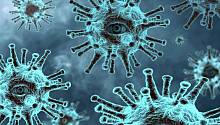 Вакцина от туберкулеза как профилактика COVID-19: новые данные
