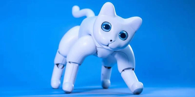 Разработан страшный робо-кот для детей, аллергиков и просто гиков
