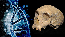 В ДНК современных африканцев обнаружились следы неизвестного предка человекка