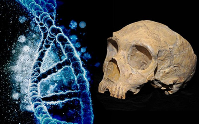 В ДНК современных африканцев обнаружились следы неизвестного предка человекка