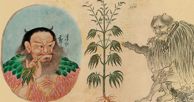 В Китае найдены самые ранние в истории свидетельства употребления каннабиса