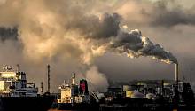 Пыльца и выхлопные газы: в Пермском Политехе рассказали, как минимизировать вред от грязного воздуха