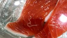 Рыбы, выращиваемые на фермах, обладают защитой от кишечного паразита