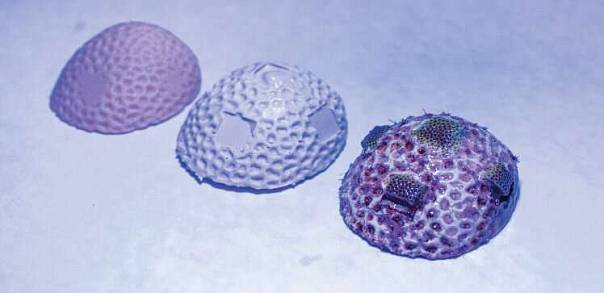 3D-печать поможет в восстановлении коралловых рифов