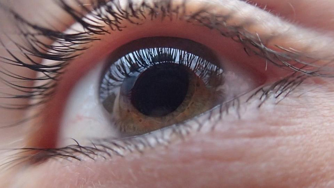 Защита клеток сетчатки от иммунной системы может помочь в лечении слепоты