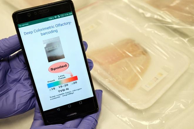 Электронные маркеры позволят определить свежесть мяса