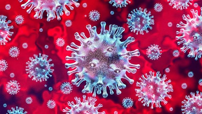 Два отрицательных теста – не показатель отсутствия коронавируса