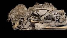 В Израильской «Пещере ужасов» нашли мумифицированный скелет ребёнка