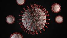 В России предсказали появление супер-штамма коронавируса