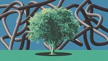 Новые генетически модифицированные деревья потребляют больше углекислого газа