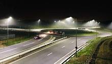 Освещение на дорогах способствует уменьшению числа насекомых