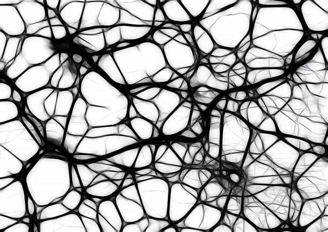 Нейроны поддерживают жизнедеятельность раковых стволовых клеток