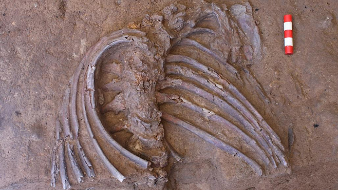 Найденные окаменелости возродили споры о пещерных захоронениях неандертальцев