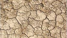 Засуха снижает опасность периодов аномальной жары
