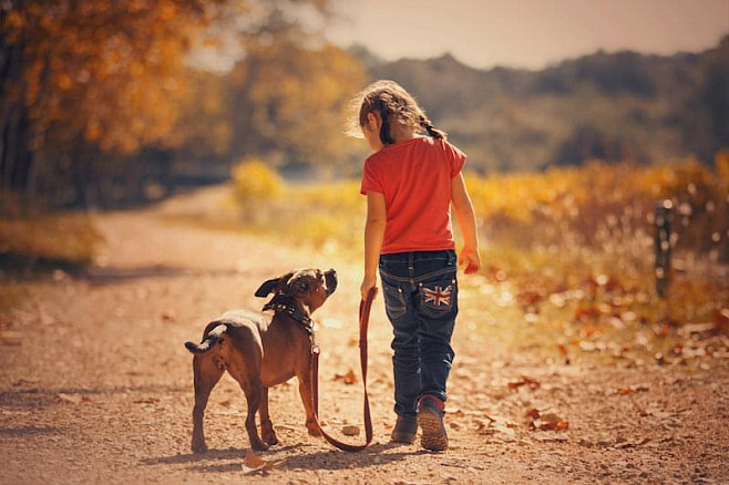 Владение собакой в раннем детстве может снизить риск развития шизофрении во взрослом возрасте