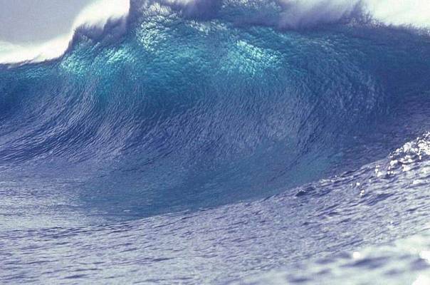 Учёные разрабатывают технологию прогнозирования цунами на основе ИИ