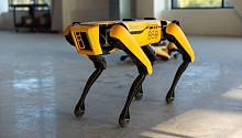 Адам Сэвидж протеститровал робота-собаку от Boston Dynamics